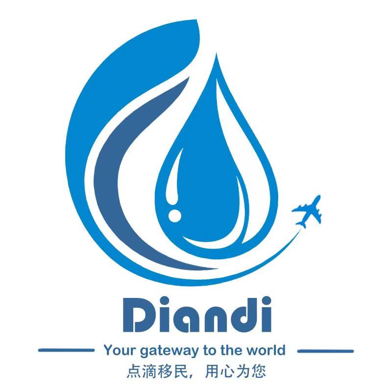 Diandi Logo.jpeg