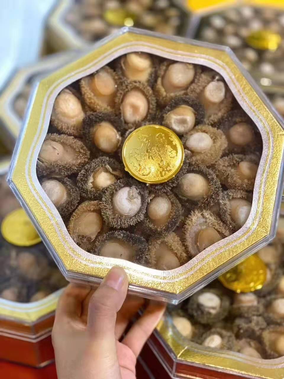 南非鲍鱼
