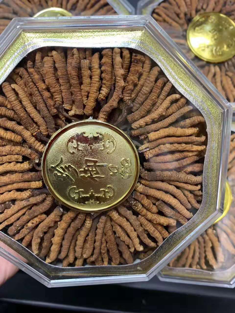 加拿大北极参