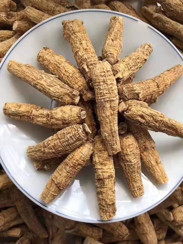 加拿大西洋参