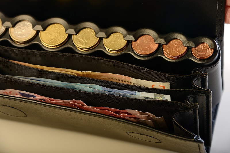 euro coin wallet