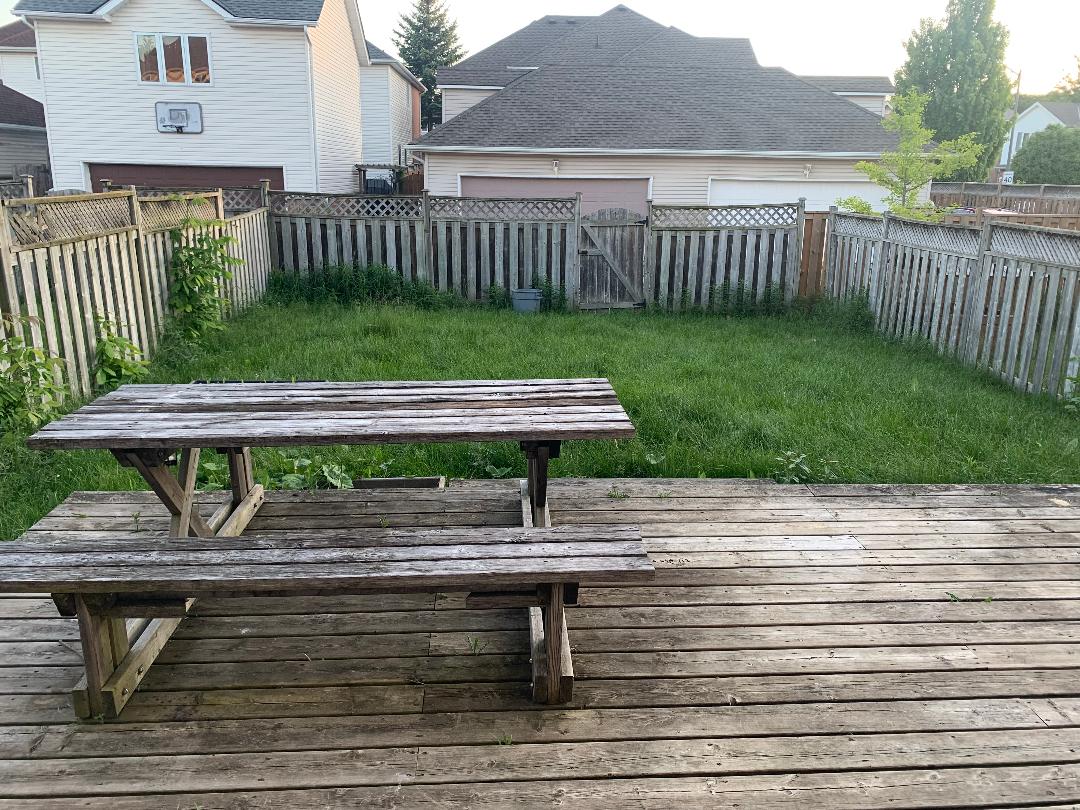 671-backyard-new.jpg